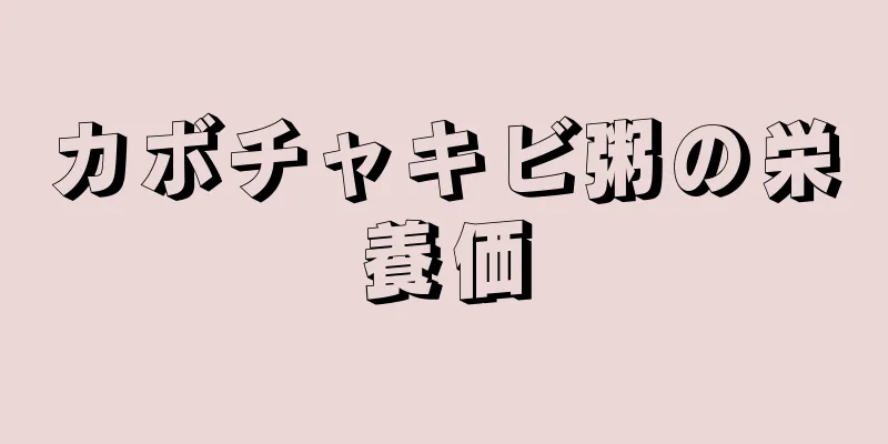 カボチャキビ粥の栄養価