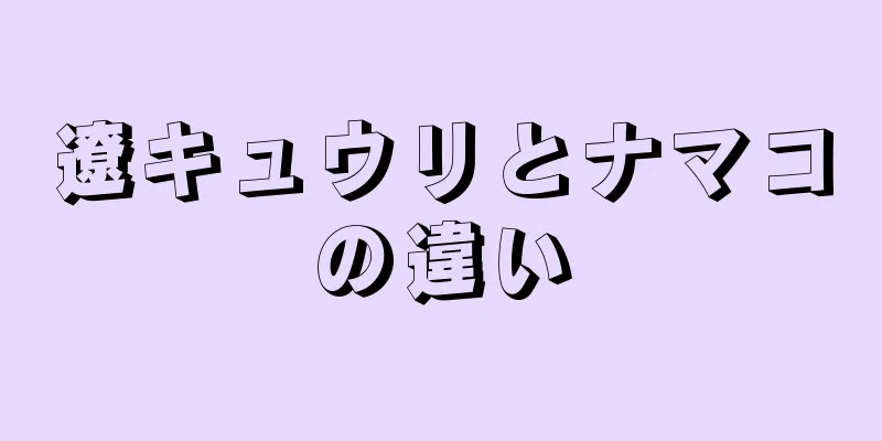 遼キュウリとナマコの違い