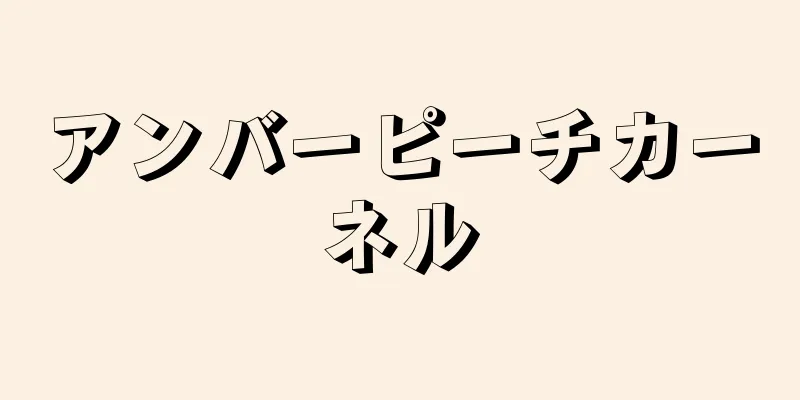 アンバーピーチカーネル