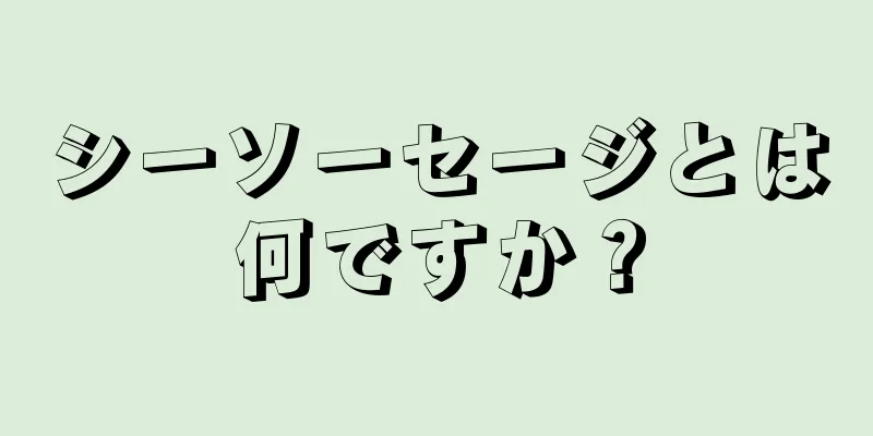 シーソーセージとは何ですか？