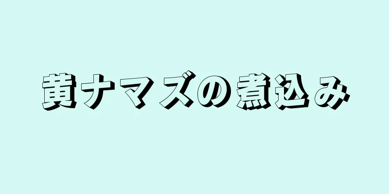 黄ナマズの煮込み