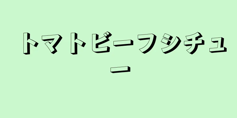 トマトビーフシチュー