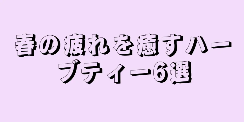 春の疲れを癒すハーブティー6選