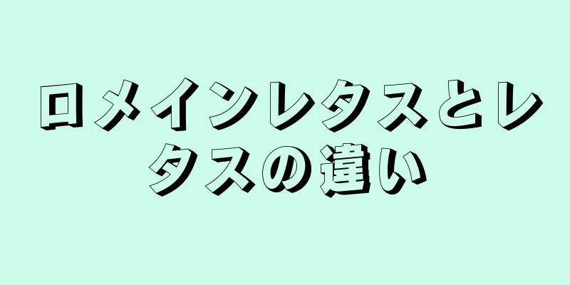 ロメインレタスとレタスの違い