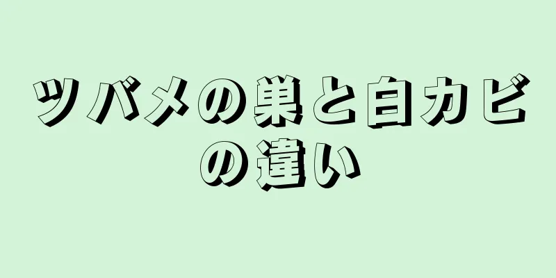 ツバメの巣と白カビの違い