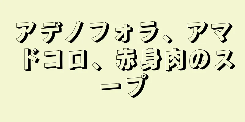 アデノフォラ、アマドコロ、赤身肉のスープ