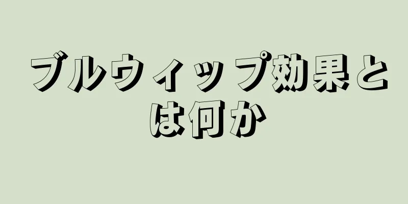 ブルウィップ効果とは何か