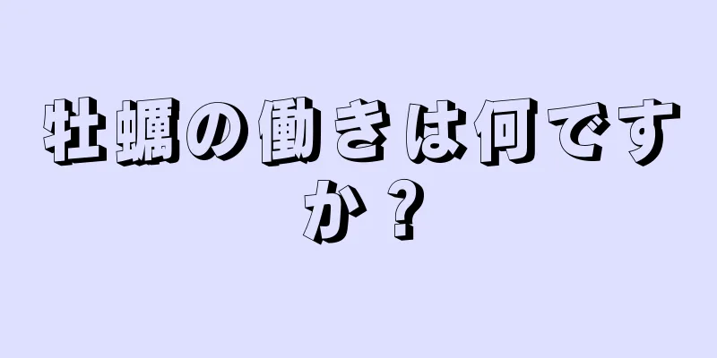 牡蠣の働きは何ですか？