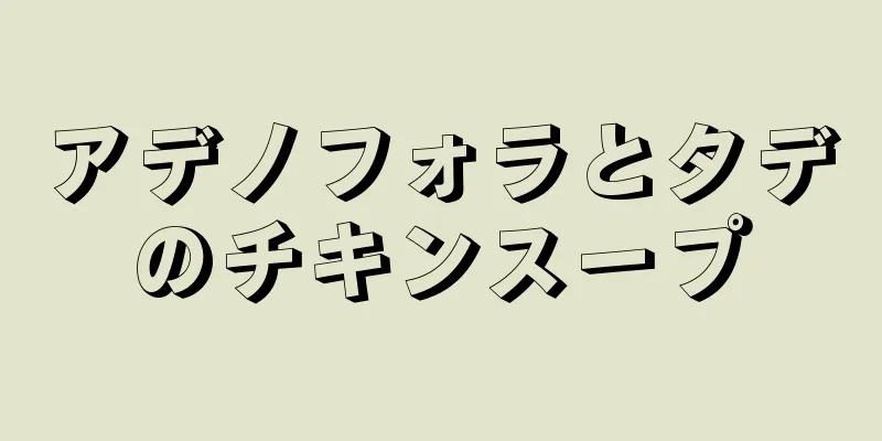 アデノフォラとタデのチキンスープ