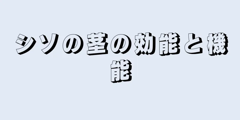 シソの茎の効能と機能