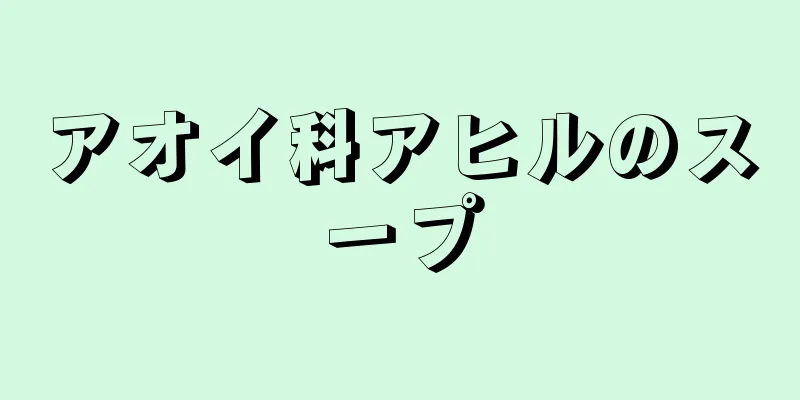 アオイ科アヒルのスープ