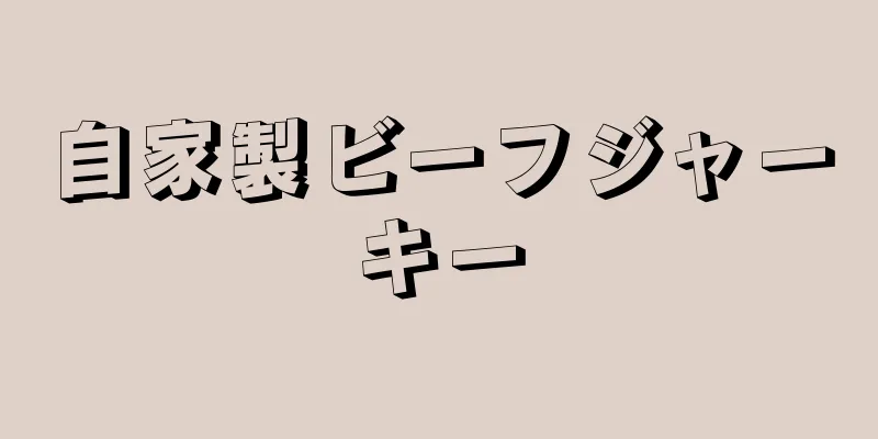 自家製ビーフジャーキー