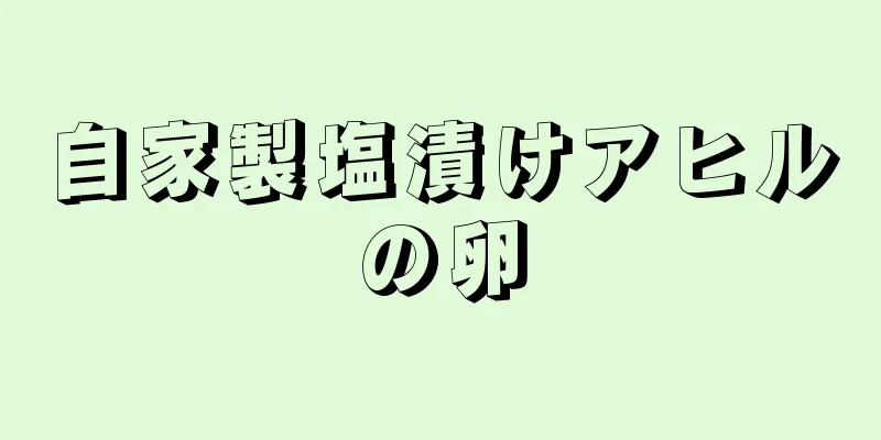 自家製塩漬けアヒルの卵