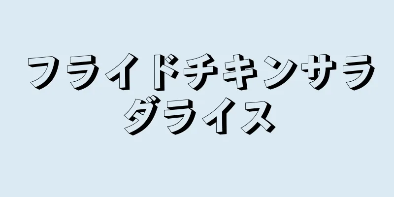 フライドチキンサラダライス