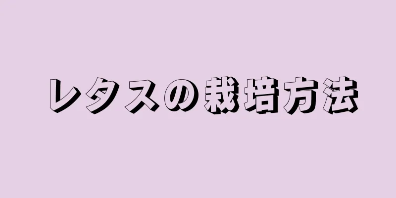 レタスの栽培方法