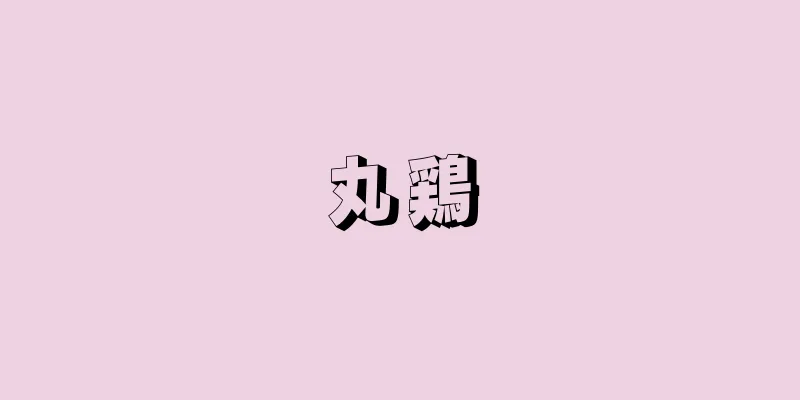 丸鶏