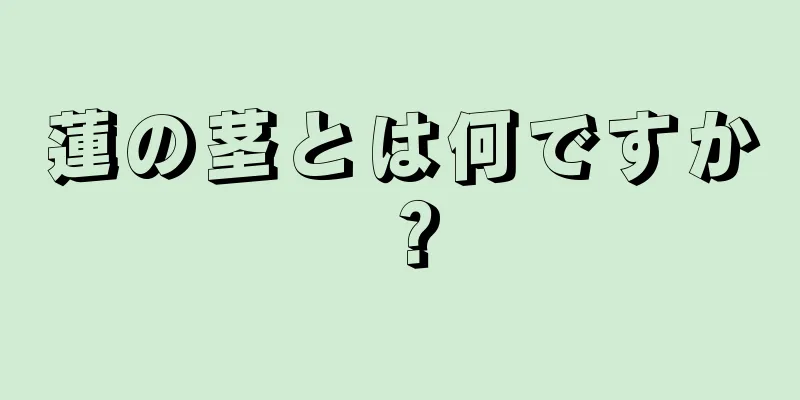 蓮の茎とは何ですか？