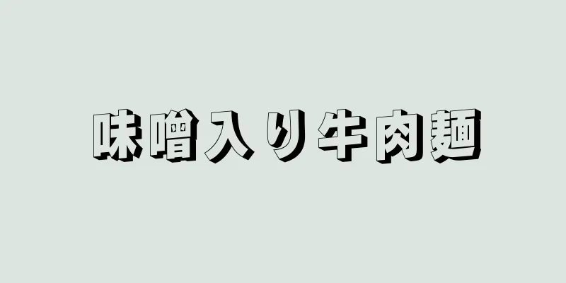 味噌入り牛肉麺