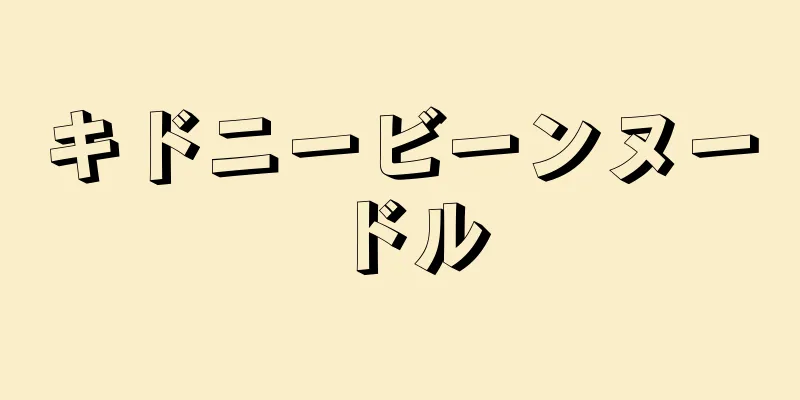 キドニービーンヌードル