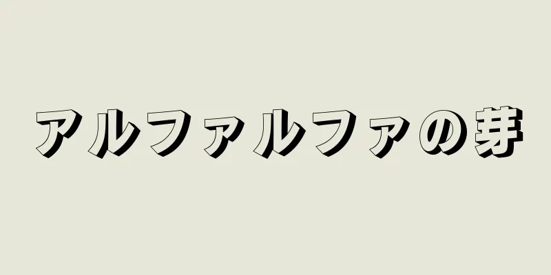 アルファルファの芽