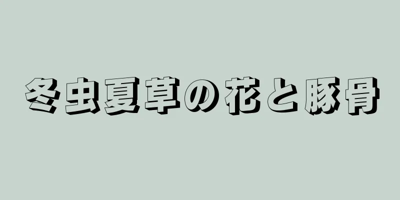 冬虫夏草の花と豚骨