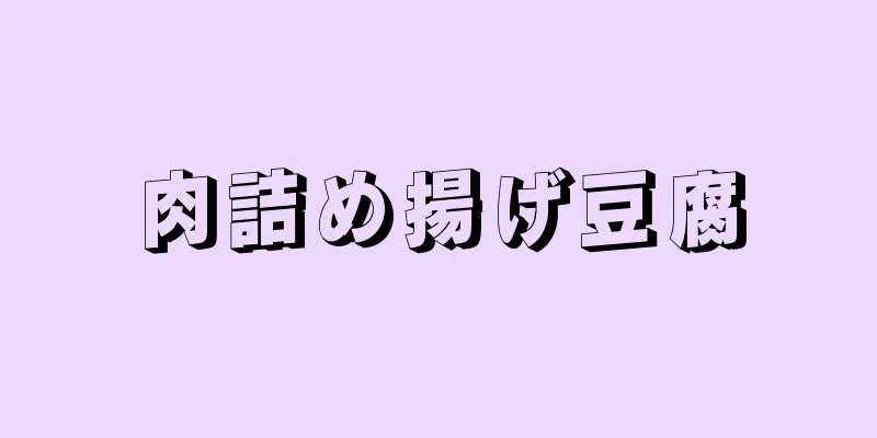 肉詰め揚げ豆腐