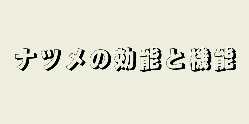 ナツメの効能と機能