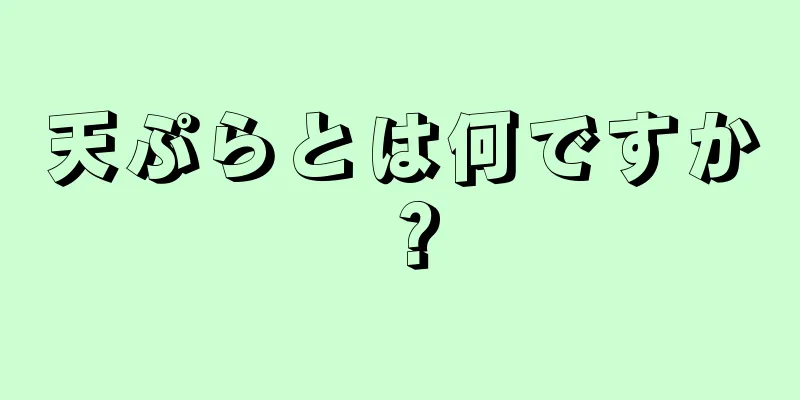 天ぷらとは何ですか？