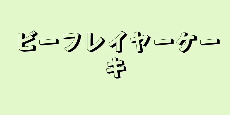 ビーフレイヤーケーキ