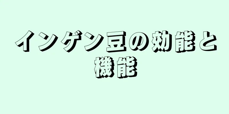 インゲン豆の効能と機能