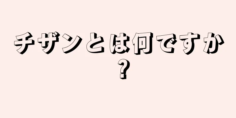 チザンとは何ですか？