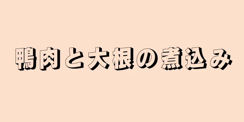 鴨肉と大根の煮込み