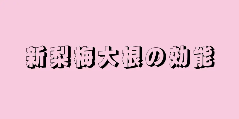 新梨梅大根の効能