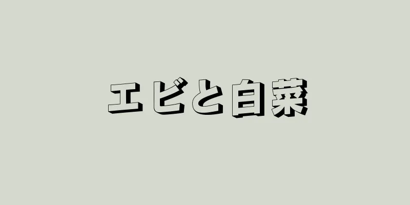 エビと白菜