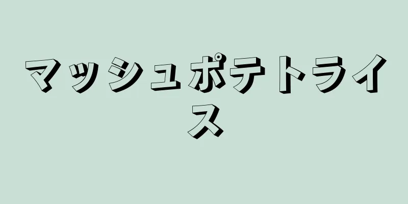 マッシュポテトライス