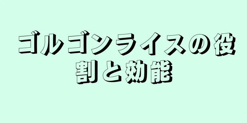 ゴルゴンライスの役割と効能