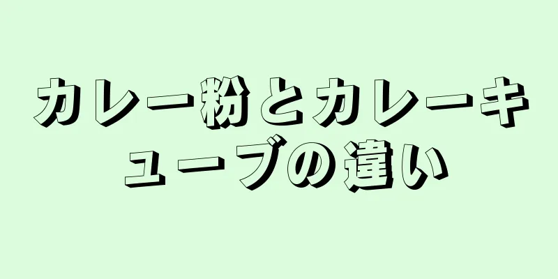 カレー粉とカレーキューブの違い