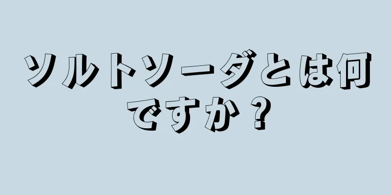 ソルトソーダとは何ですか？