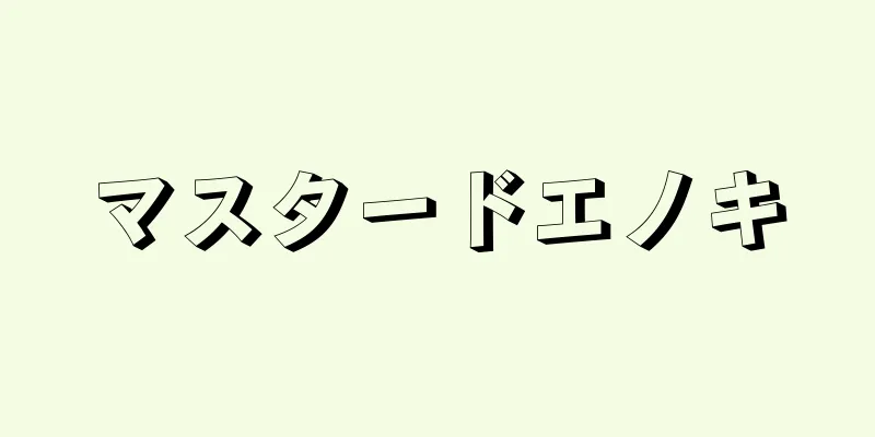 マスタードエノキ