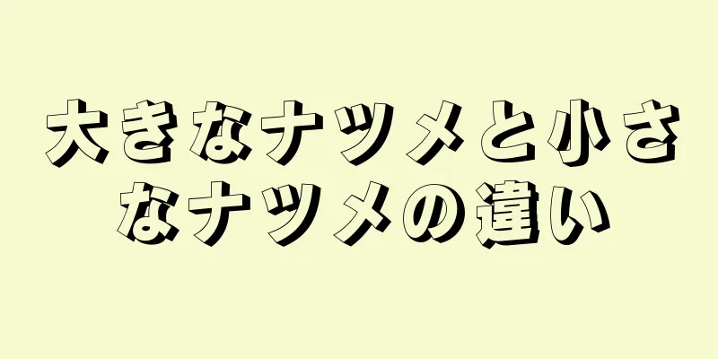 大きなナツメと小さなナツメの違い