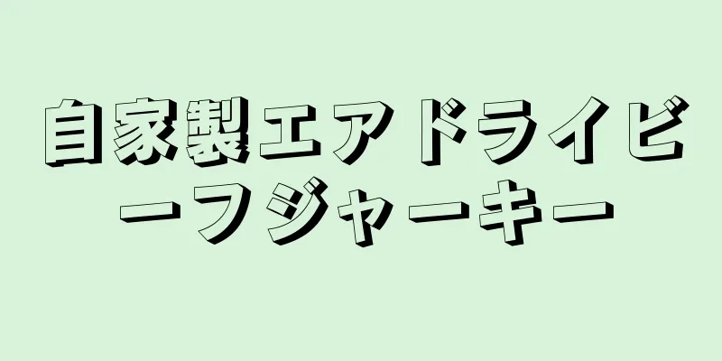 自家製エアドライビーフジャーキー