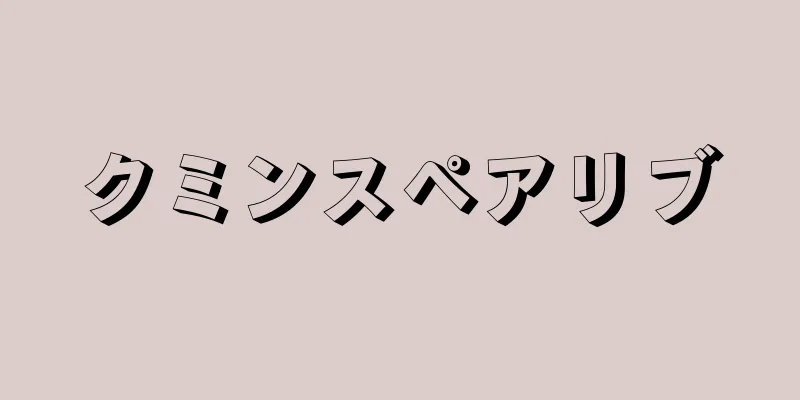 クミンスペアリブ