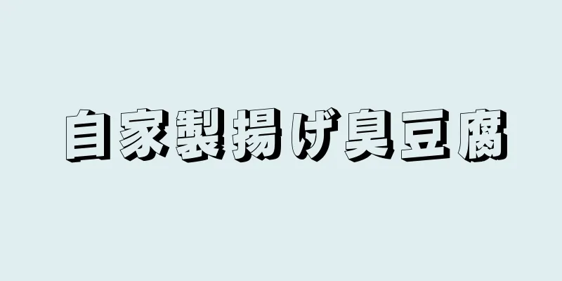 自家製揚げ臭豆腐