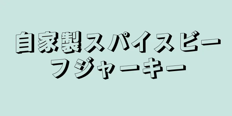 自家製スパイスビーフジャーキー