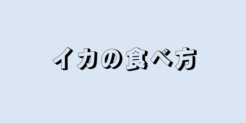 イカの食べ方