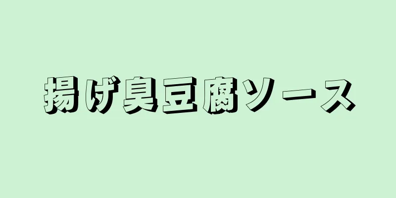 揚げ臭豆腐ソース