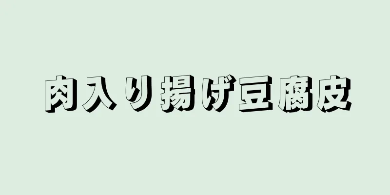 肉入り揚げ豆腐皮