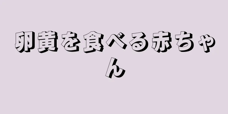 卵黄を食べる赤ちゃん