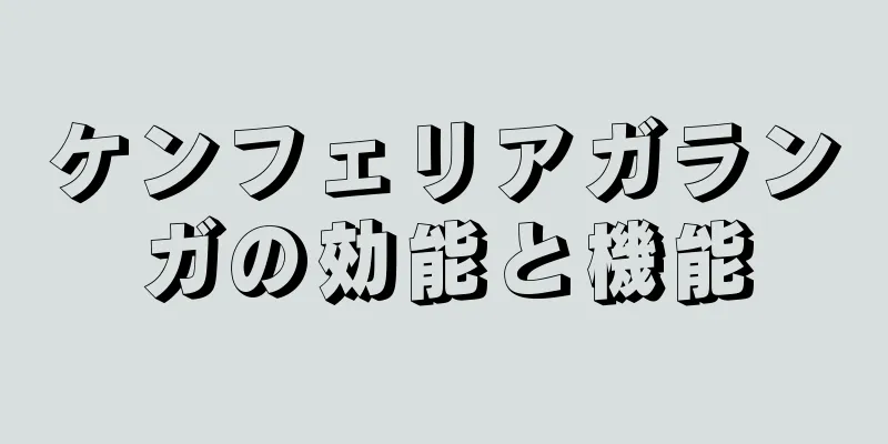 ケンフェリアガランガの効能と機能