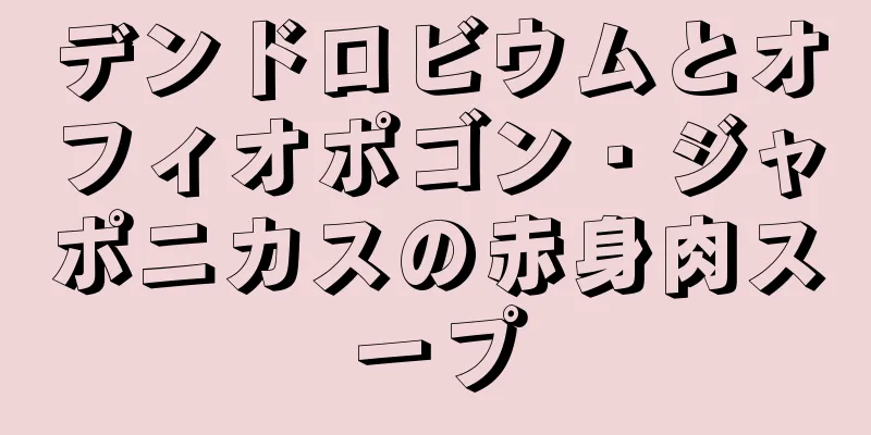 デンドロビウムとオフィオポゴン・ジャポニカスの赤身肉スープ